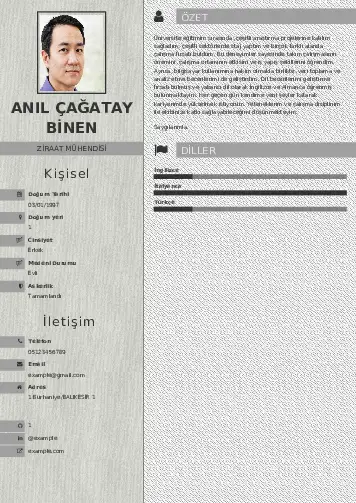 Ziraat Mühendisi Cv Örnekleri cv indir